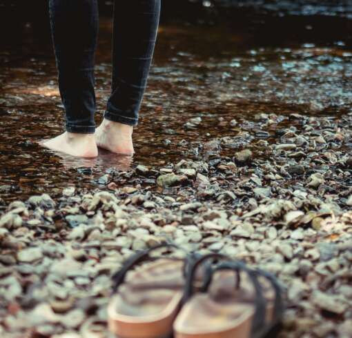 niklas-hamann-mj9c_TZvuI4-unsplash niklas-hamann-mj9c_TZvuI4-unsplash